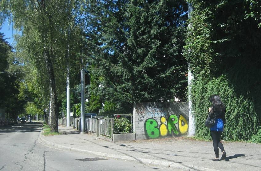 BIRD graffiti zurich switzerland photographed in 2014. there are many  BIRD graffitis in zurich. BIRD is a zurich based writer or crew