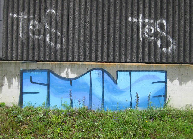 zurich graffiti rebel art SHINE graffiti crew zurich switzerland SHINE graffiti in der schweiz