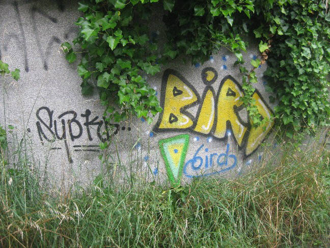 BIRD zurich graffiti rebel art BIRD graffiti  zurich switzerland BIRD graffiti in der schweiz