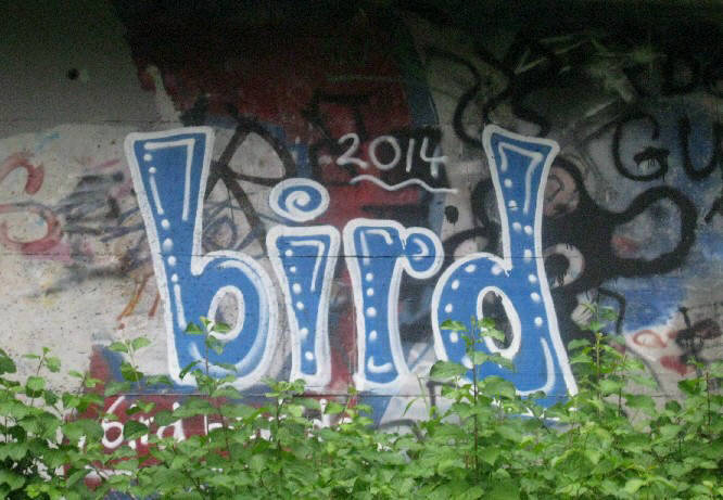 BIRD graffiti zurich switzerland BIRD GRAFFITI ZÜRICH SCHWEIZ