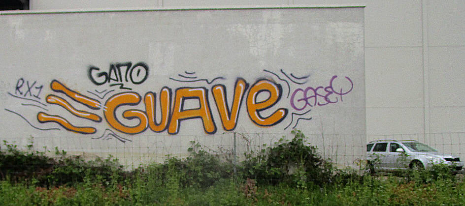 GUAVE graffiti zrich