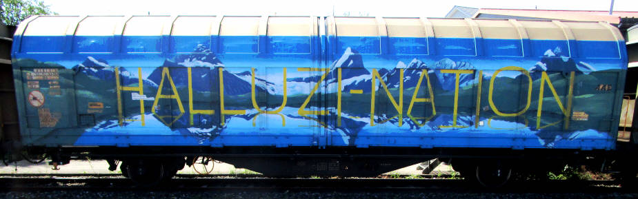 ZUKUNFT IST LUXUS HALLUZINATION HALLUZI-NATION SBB-gterwagen graffiti zrich